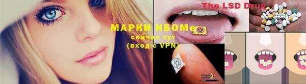 винт Гусь-Хрустальный