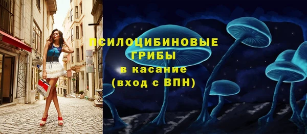 винт Гусь-Хрустальный