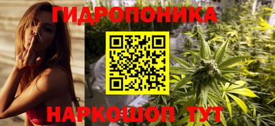 шишки Гусиноозёрск