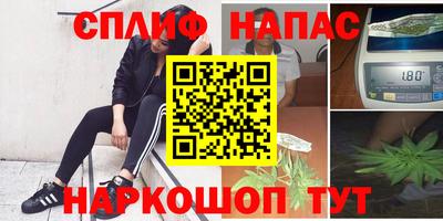 шишки Гусиноозёрск
