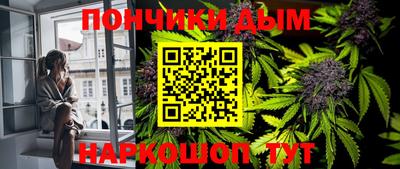 шишки Гусиноозёрск