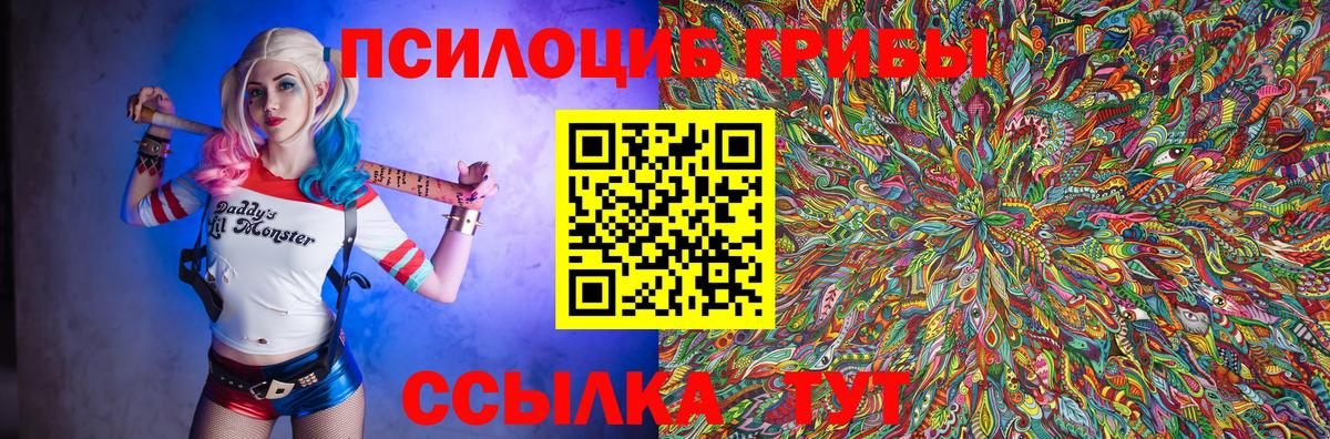 Галлюциногенные грибы Cubensis Междуреченск