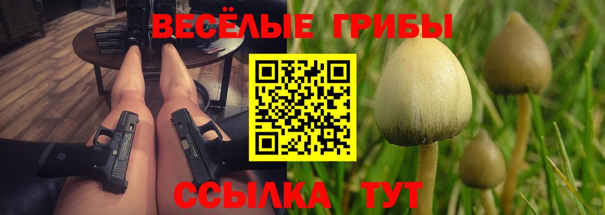 купить   Псилоцибиновые грибы прущие грибы  Междуреченск  Вход с VPN  Галлюциногенные грибы мицелий 