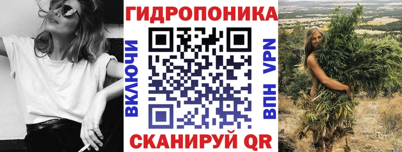 Конопля OG Kush  хочу   Междуреченск 